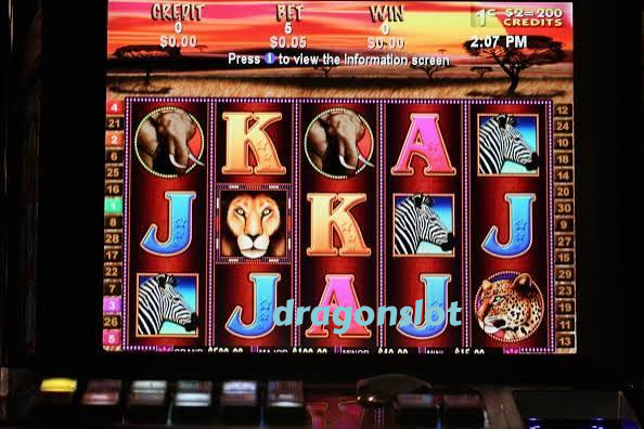 dragonslot App – Casino in Your Pocket